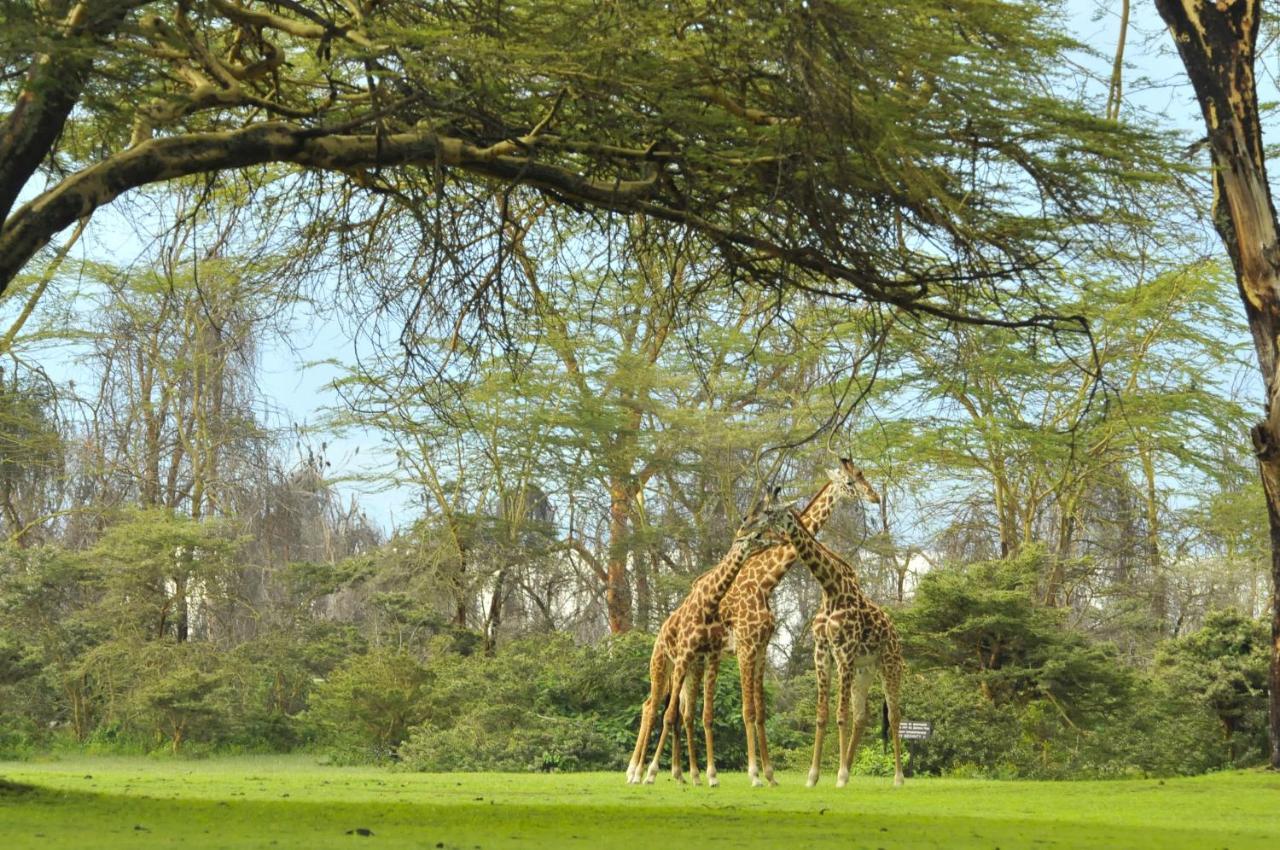 Lake Naivasha Sopa Resort Екстер'єр фото